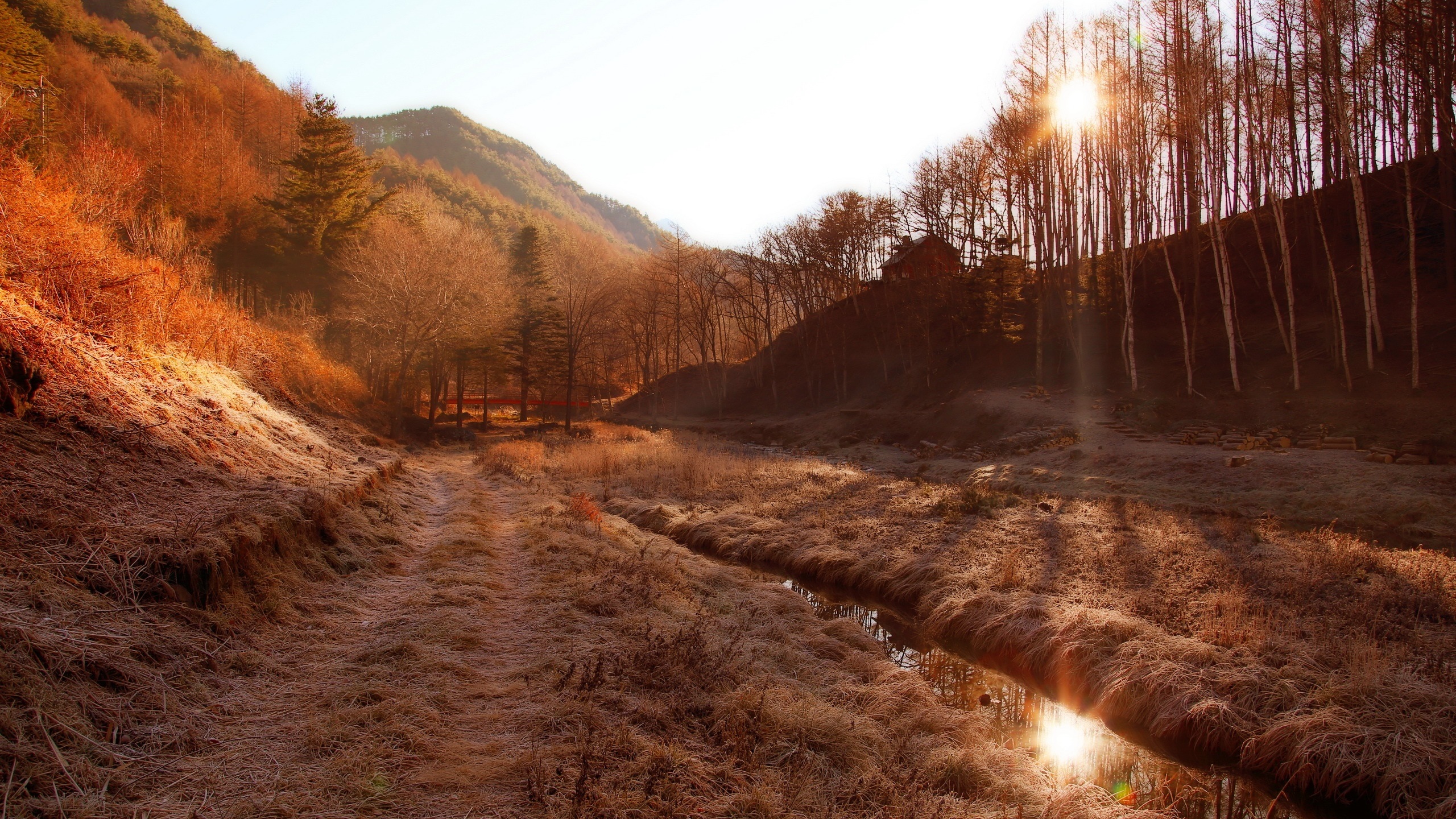 剑指源码-spring-(六)-容器刷新的十二大步